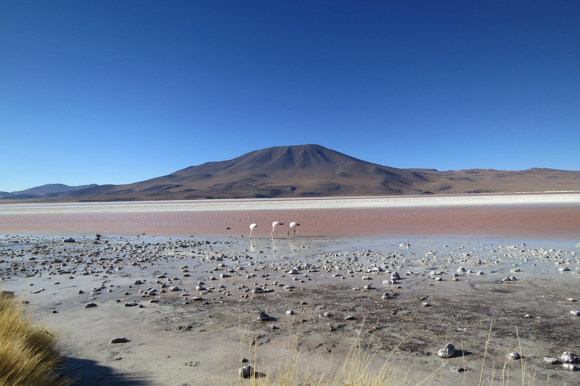 Salar de Atacama, Lagunas Altiplánicas y Piedras Rojas